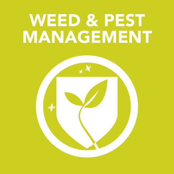 Sq_Weed_Pest_Management.jpg