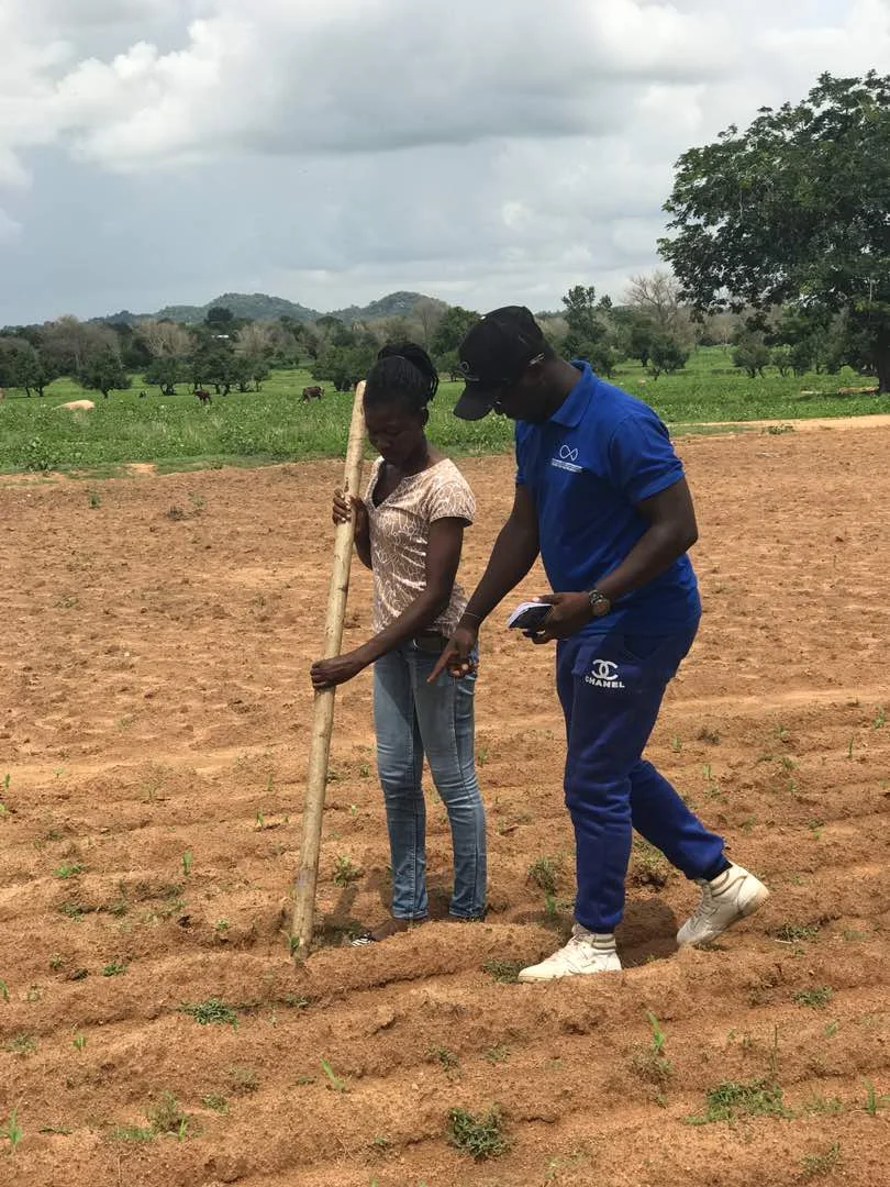 PROVIDING TECHNICAL BACKSTOPPING FOR THE ESTABLISHMENT OF CONSERVATION AGRICULTURE (CA) DEMONSTRATION PLOTS IN 10 DISTRICTS IN NORTHERN, UPPER EAST AND UPPER WEST REGIONS OF GHANA