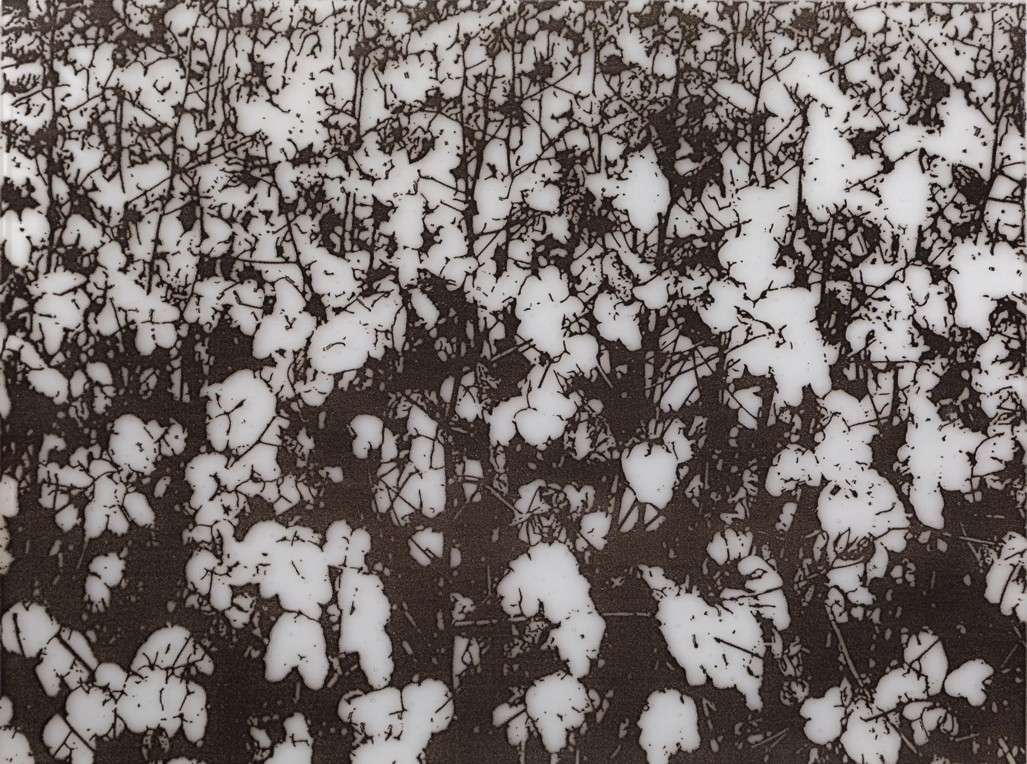 Cash Crops / re.riddle (online)