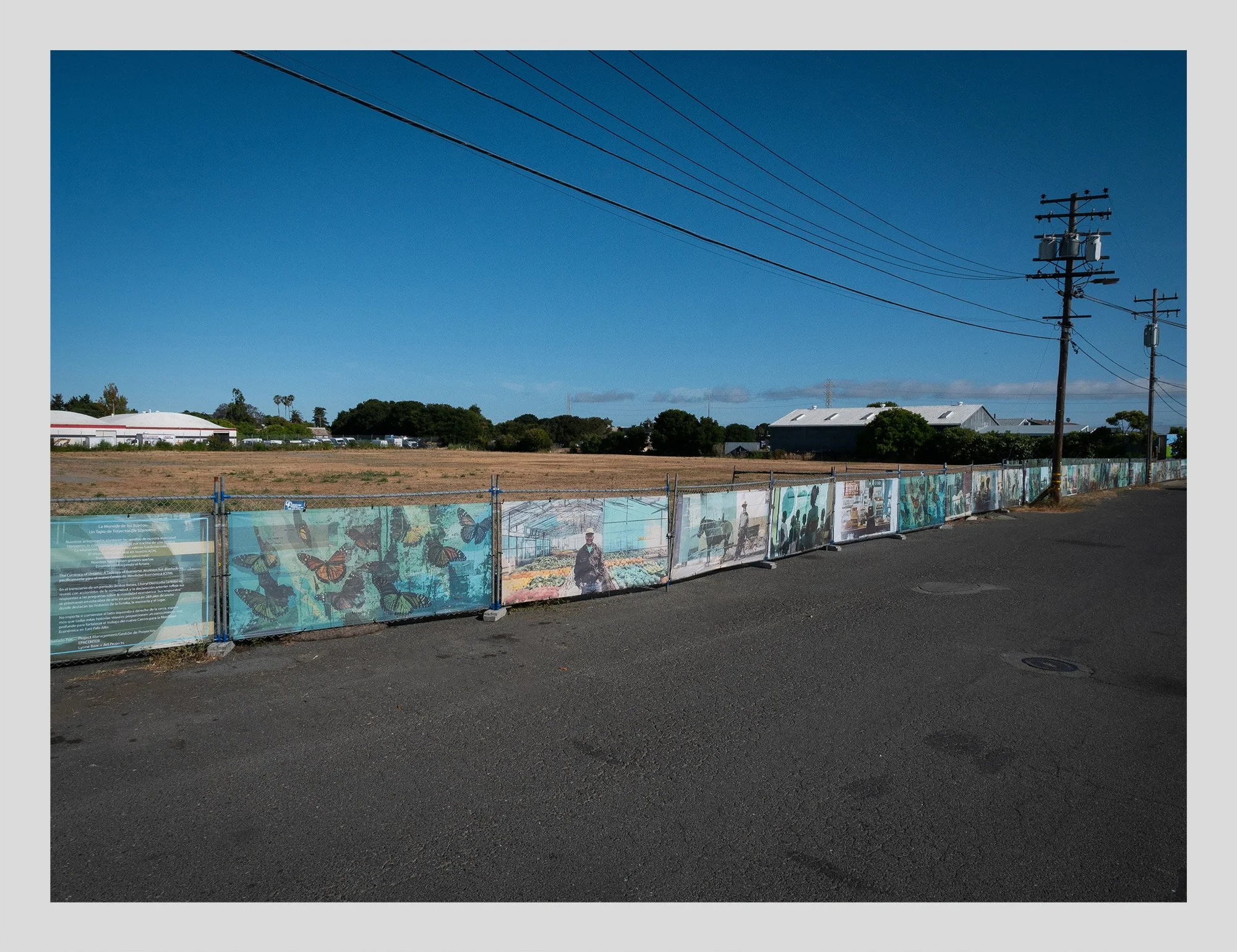 The Currency of Dreams:  A Tapestry of Economic Journeys (2025) 