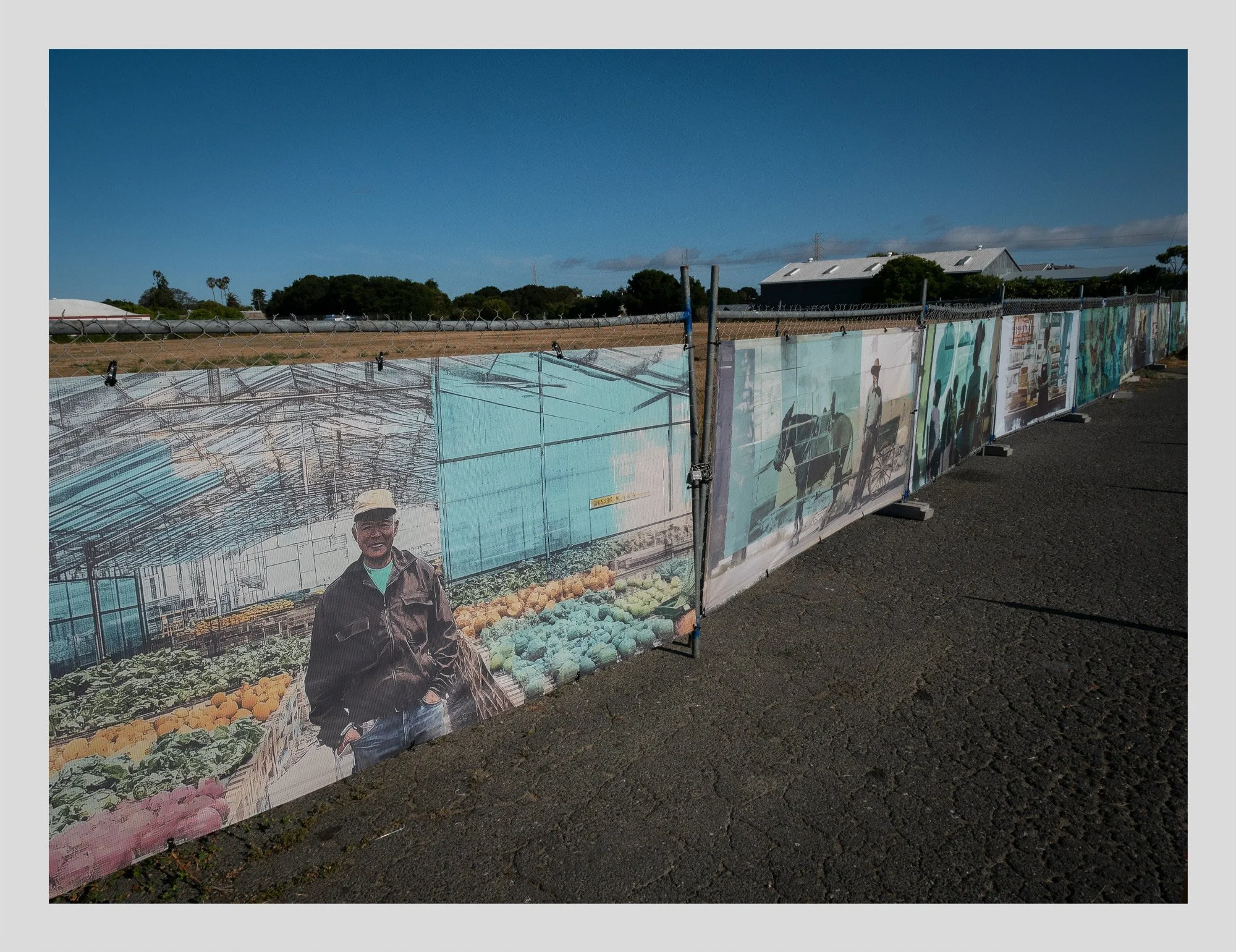 The Currency of Dreams:  A Tapestry of Economic Journeys (2025) 