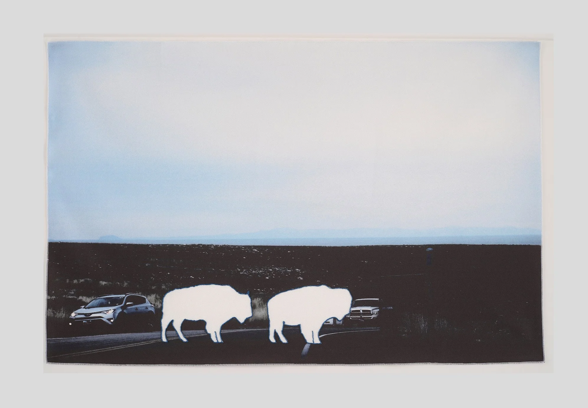 The Vanishing: Bison 2