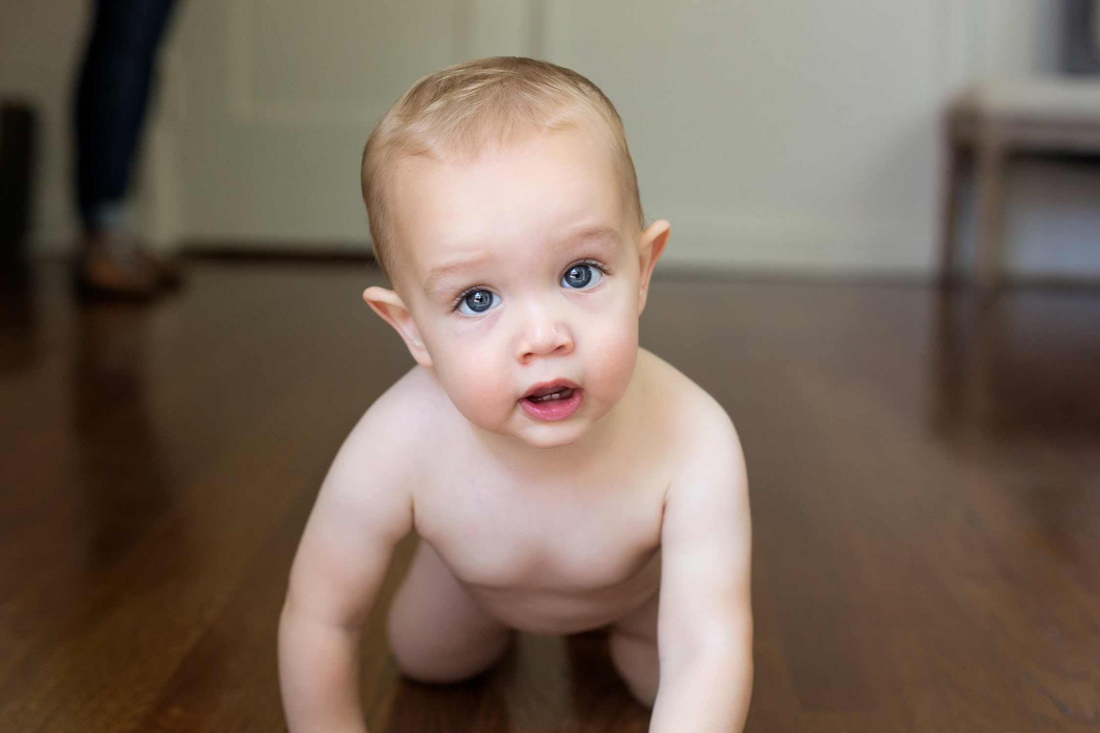 1 year old blue eyed boy crawling toward the camera