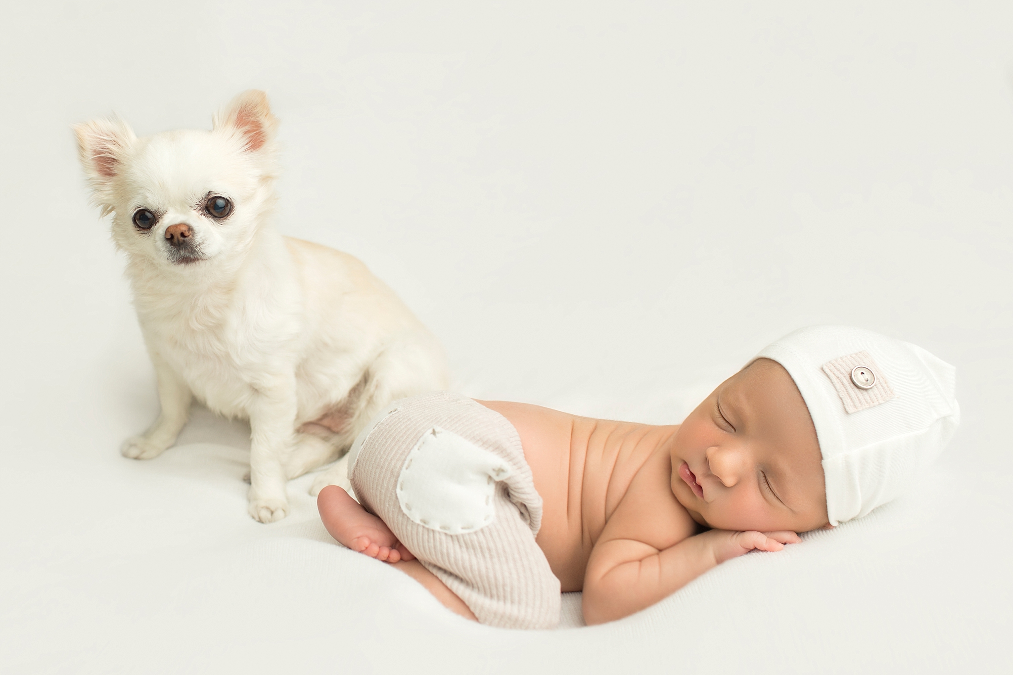 baby napping next to puppy who is looking into the camera