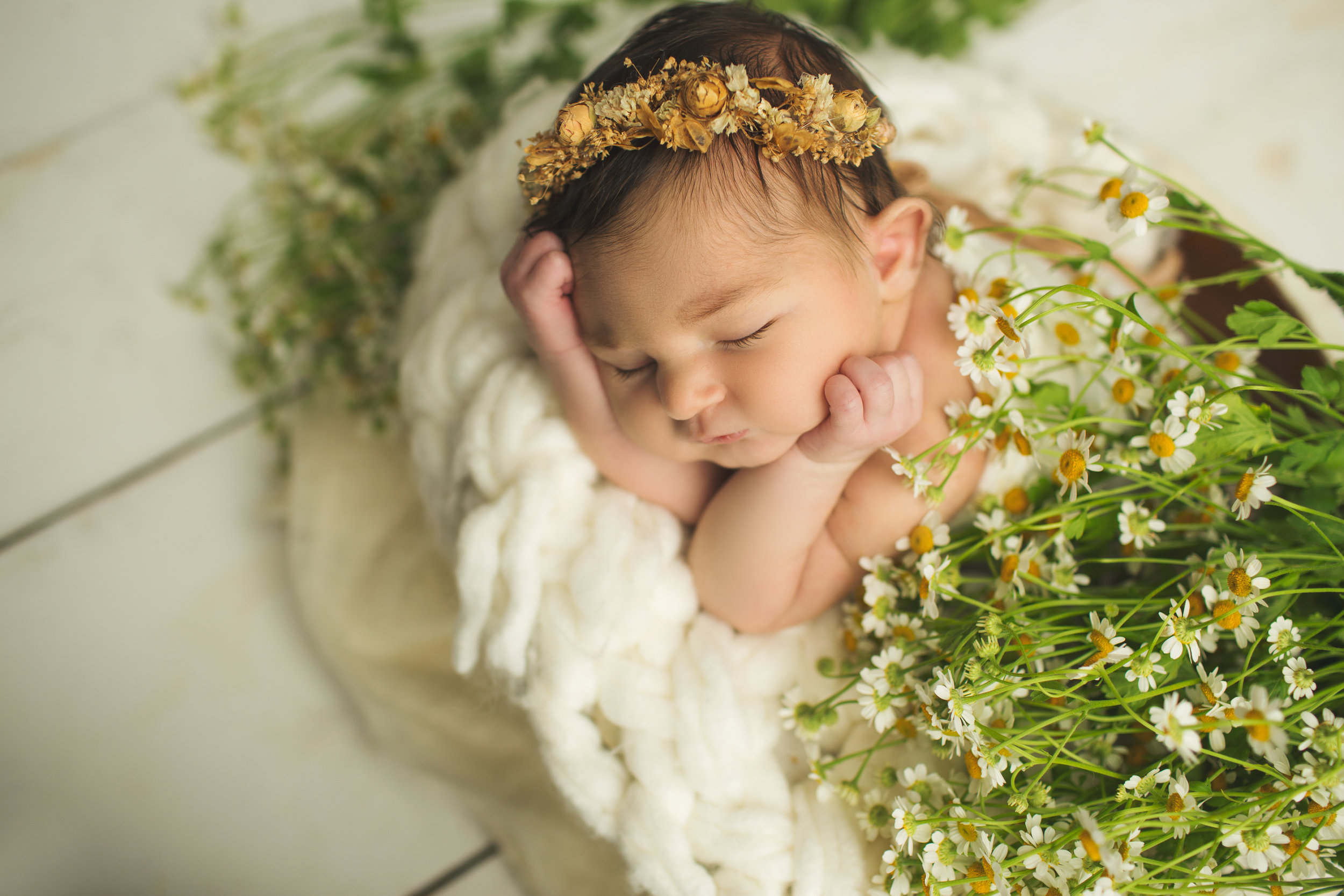 baby girl with floral headband napping under small white flowers