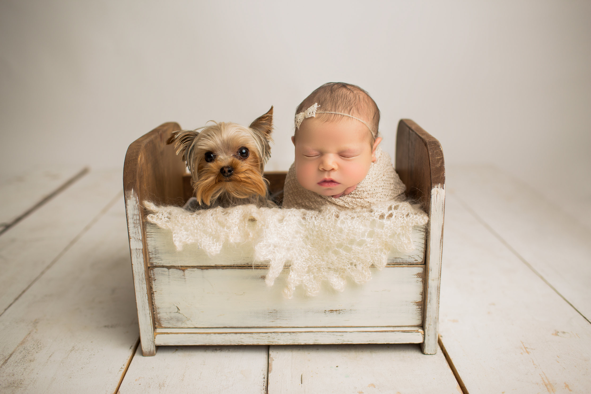 Baby snuggled next to yorkie puppy in a crib