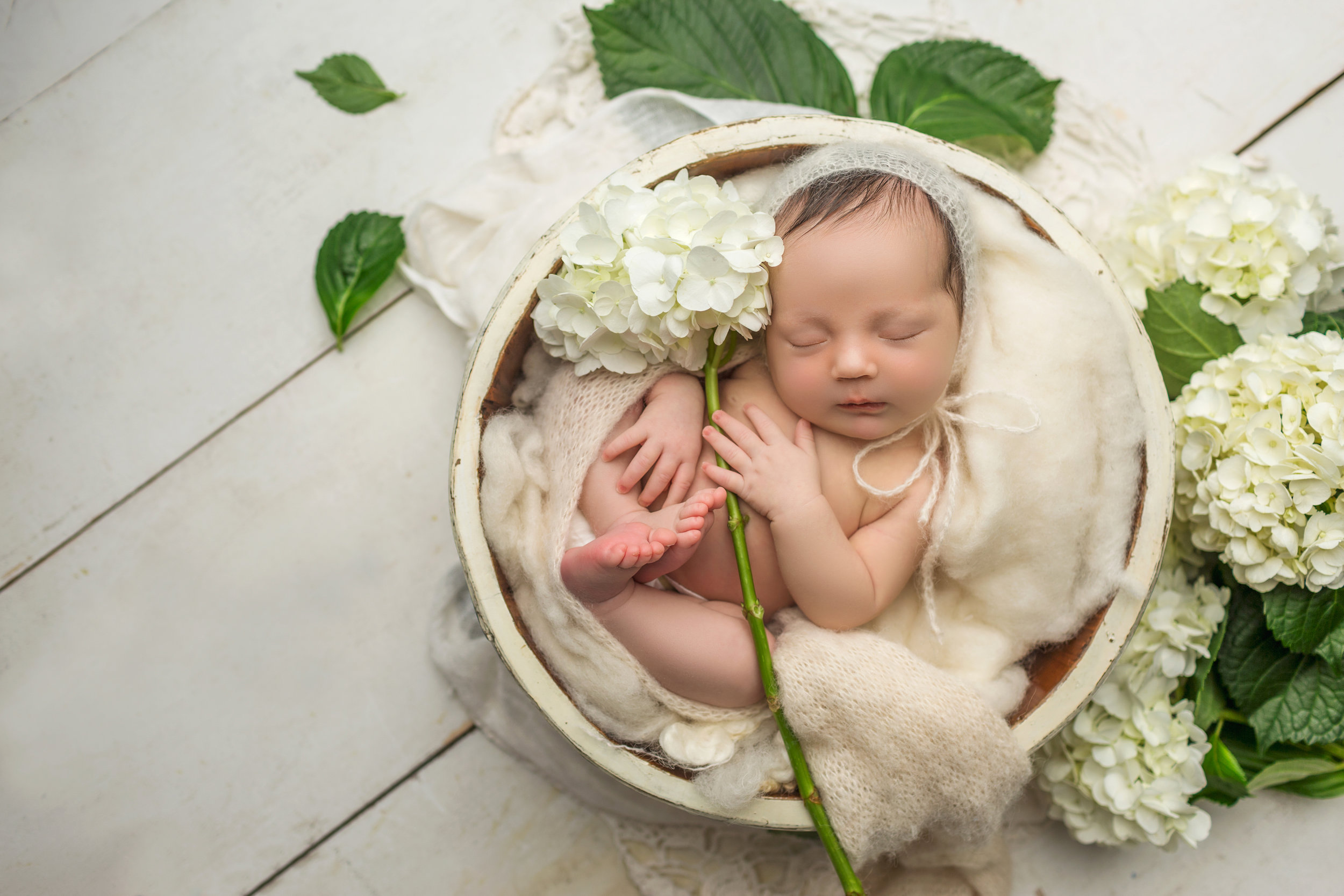 cute baby holding hydrangea while snuggled in a cream bowl