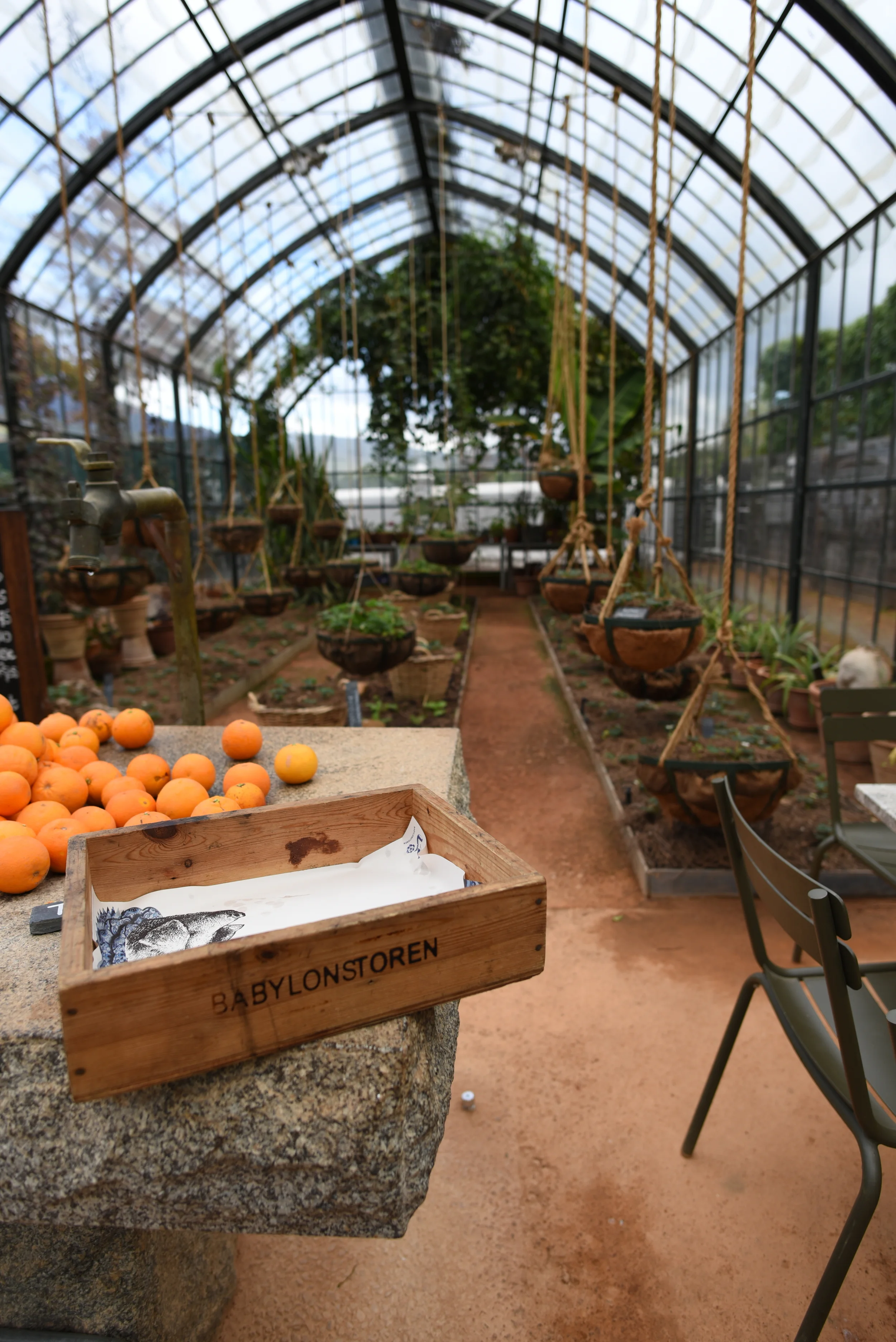 Stellenbosch - Babylonstoeren Greenhouse