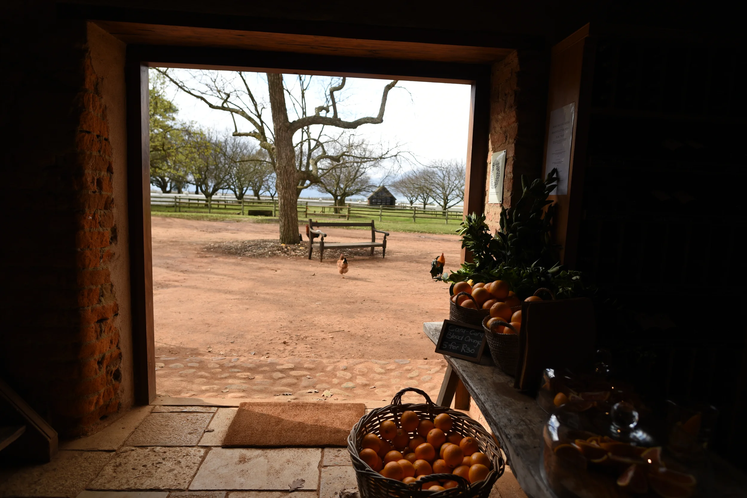 Stellenbosch - Babylonstoeren Farm