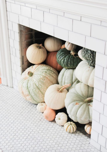 IMAGE VIA -@SARAHGTUCKER