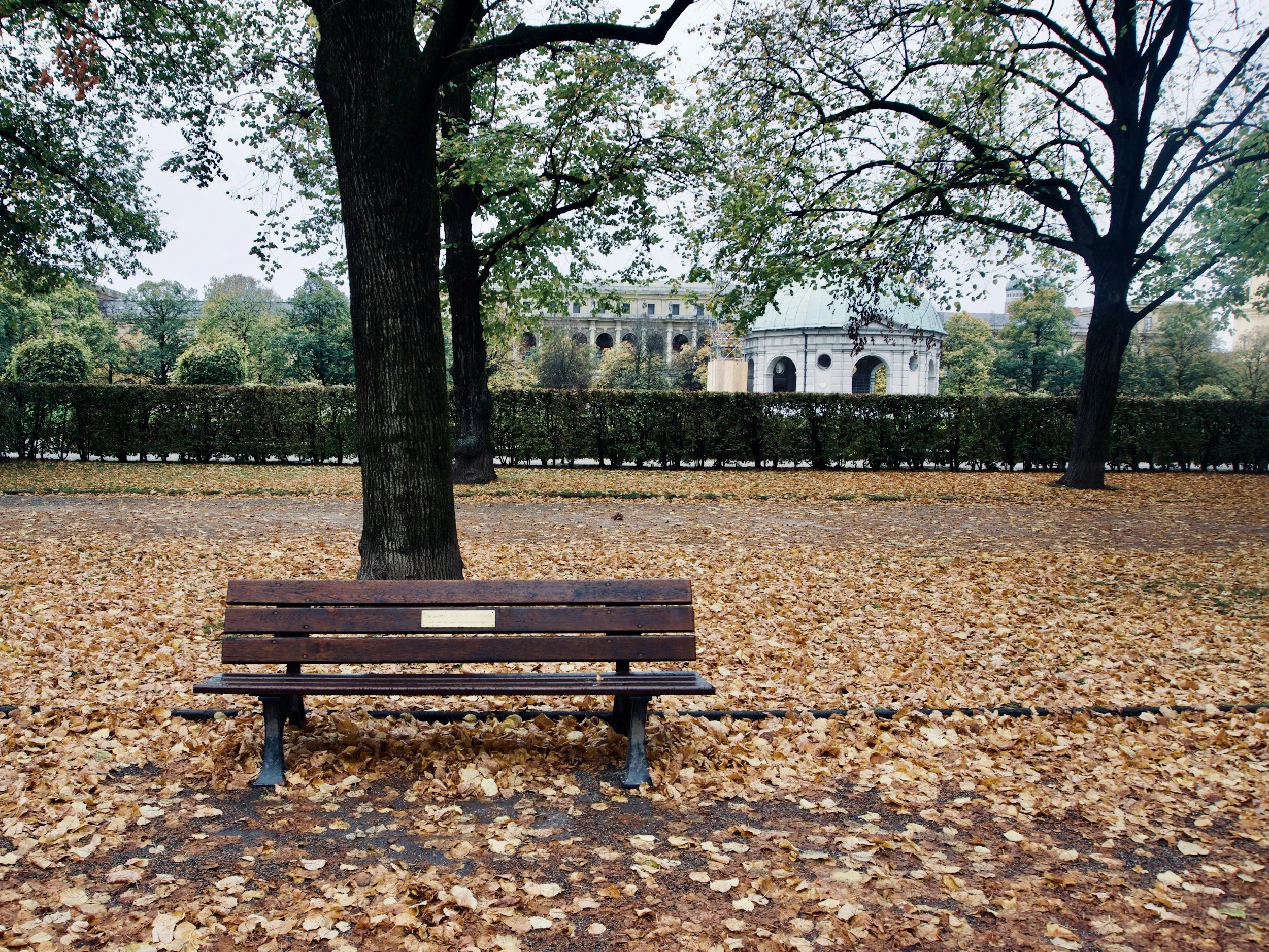 The Bench