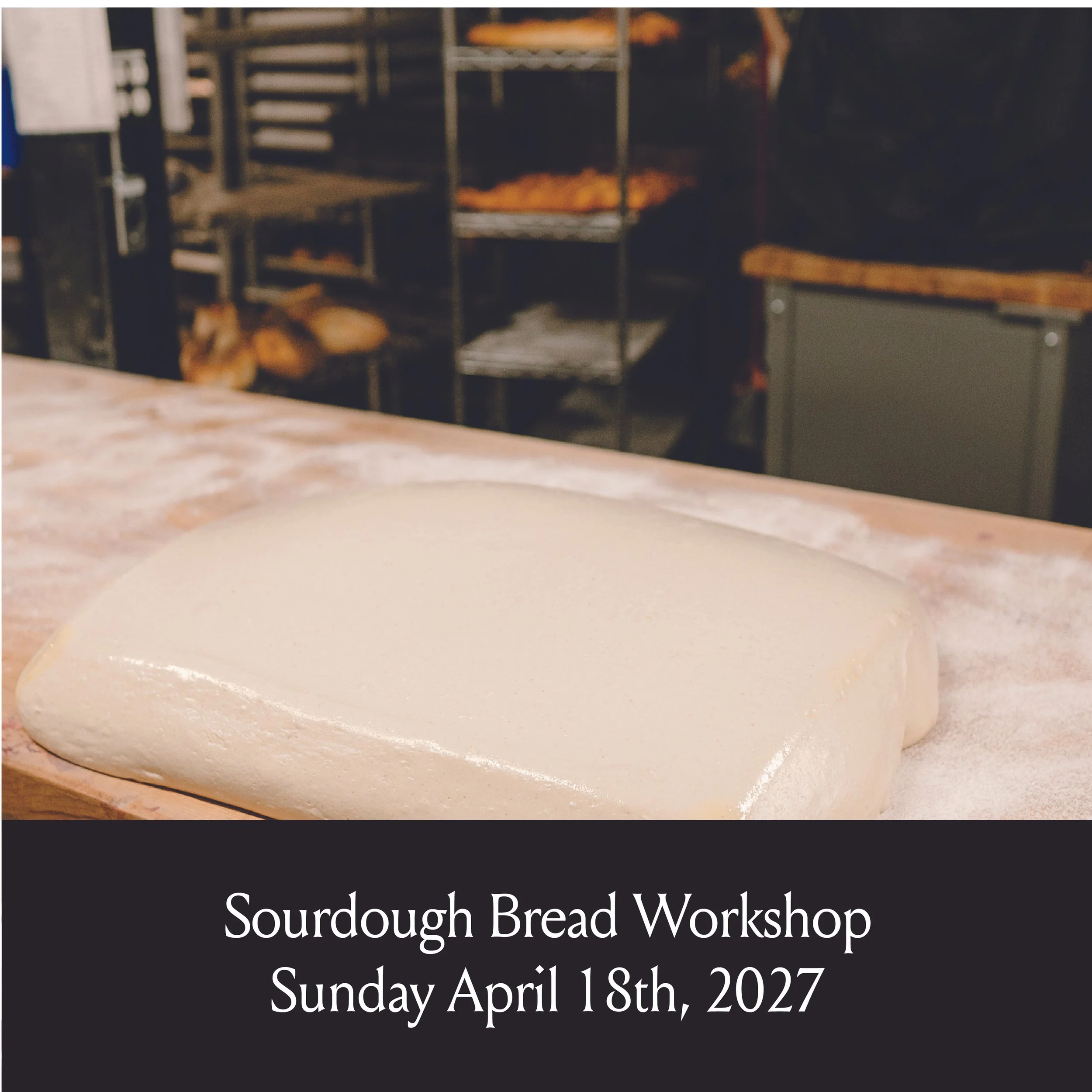 Workshops Website-07.jpg