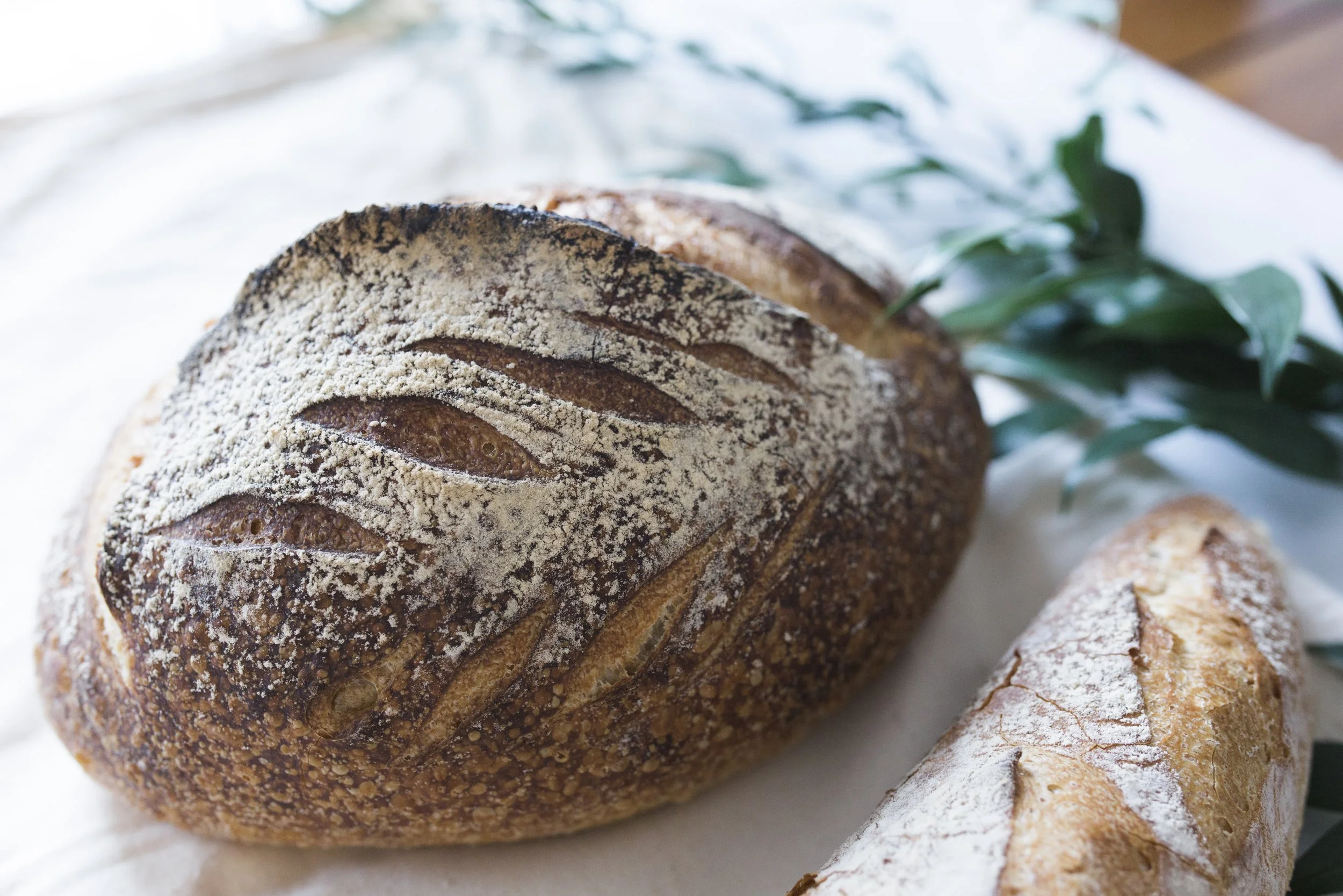 Cranberry + Brie Sourdough