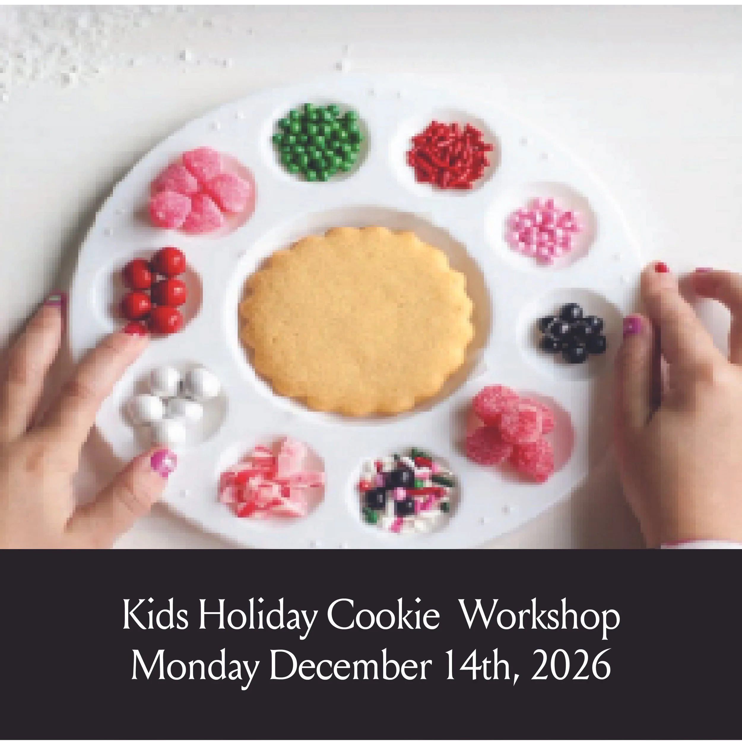 Workshops Website-06.jpg