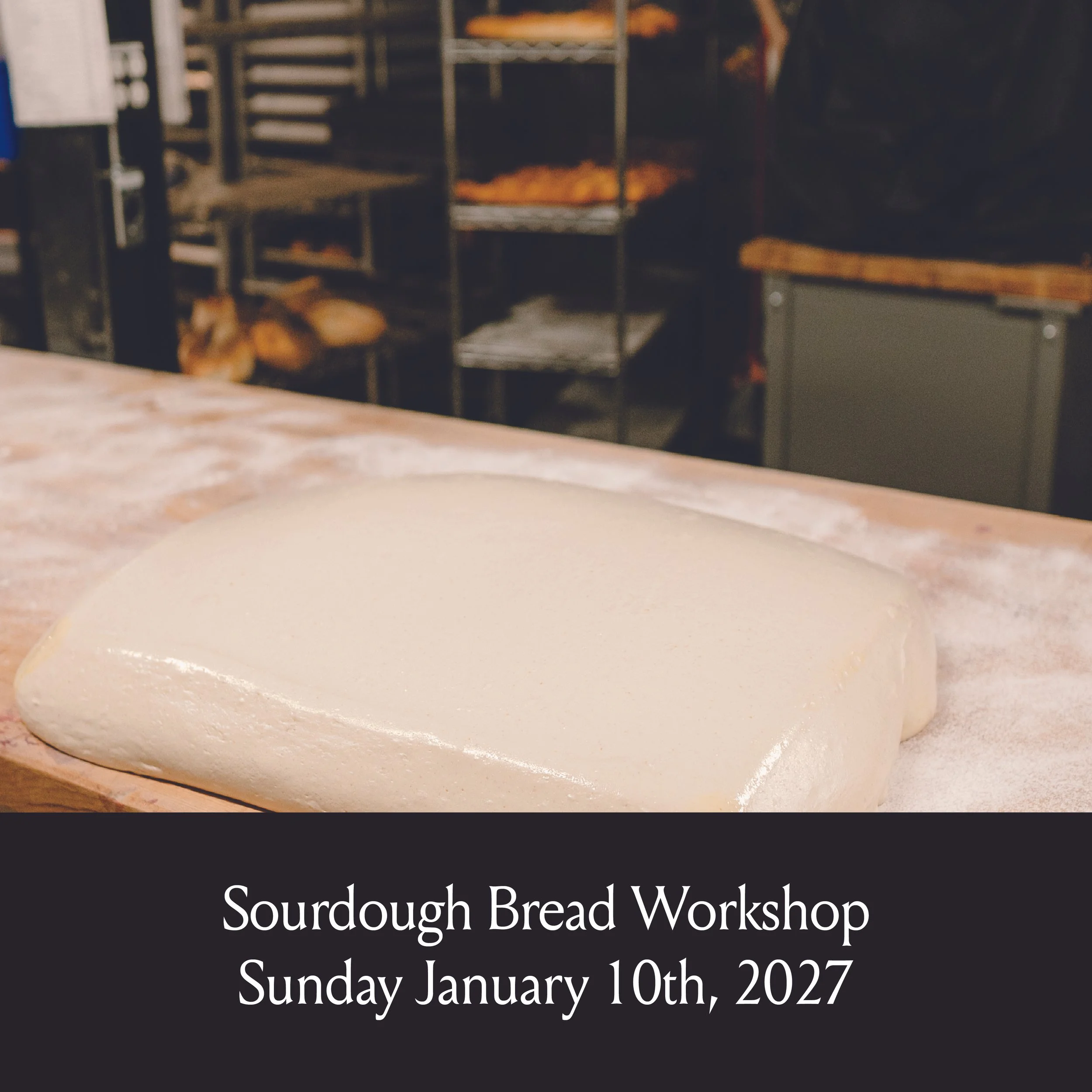 Workshops Website-02.jpg