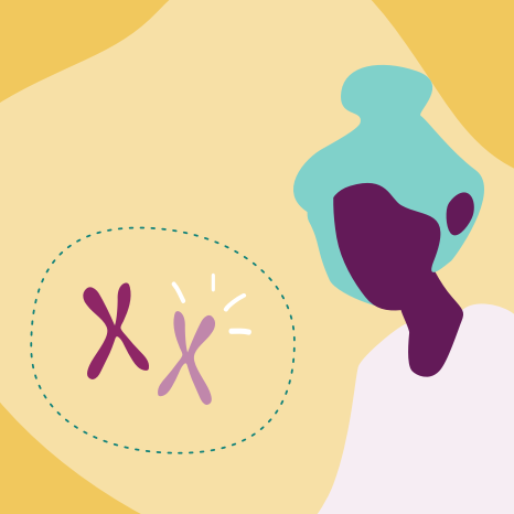 woman xx.png