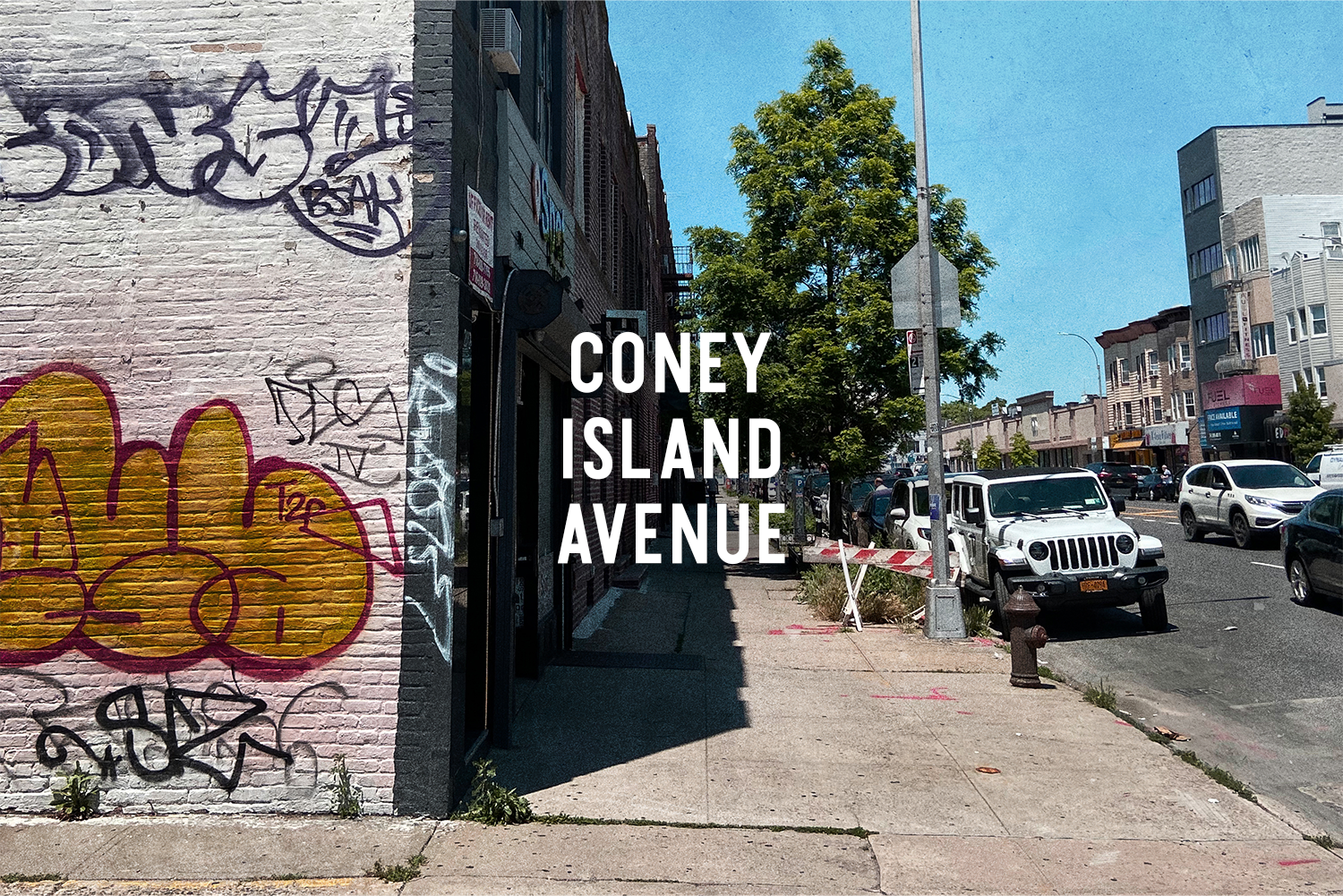 Coney Island Avenue