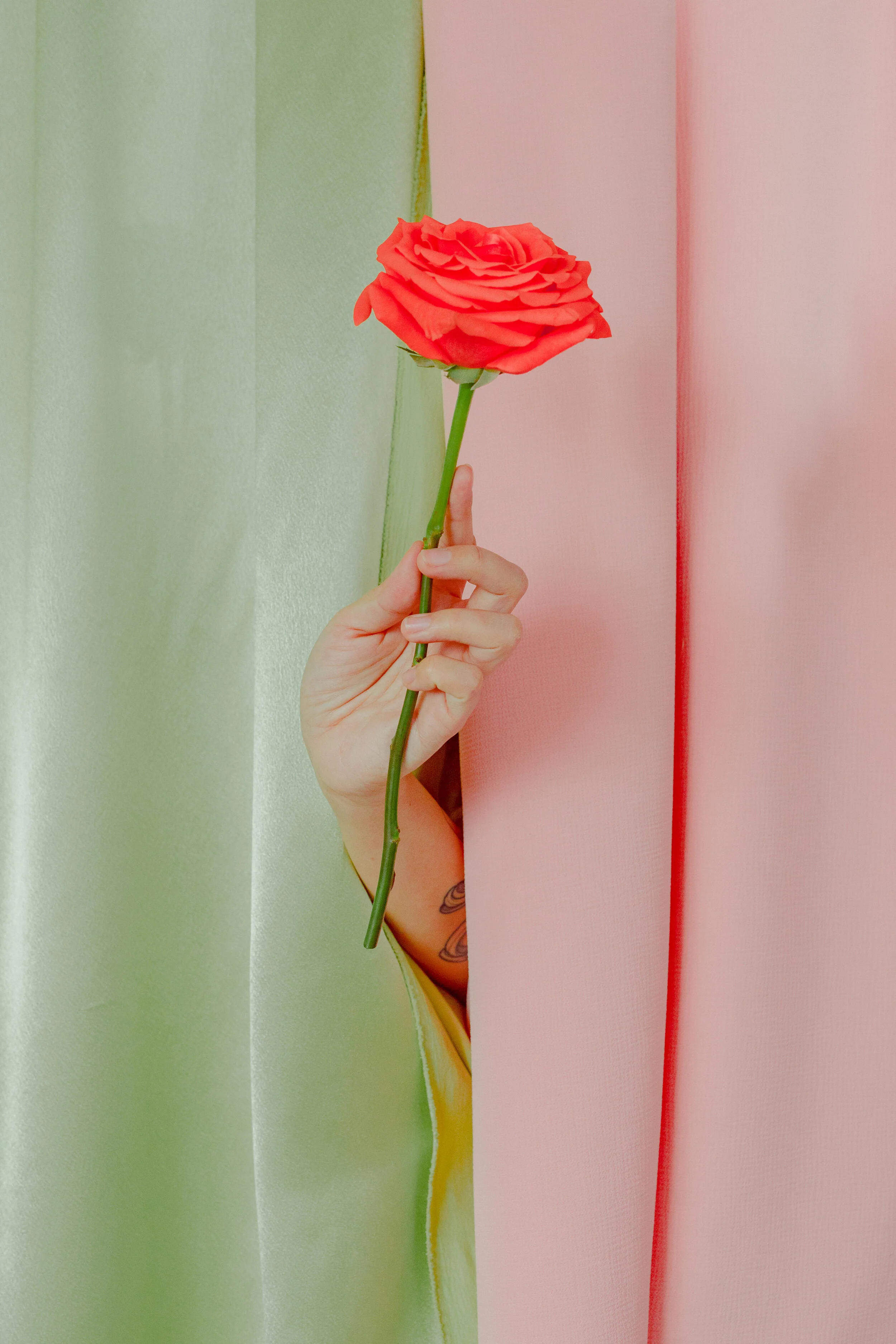 flower-rzy-floral-photography-134.JPG