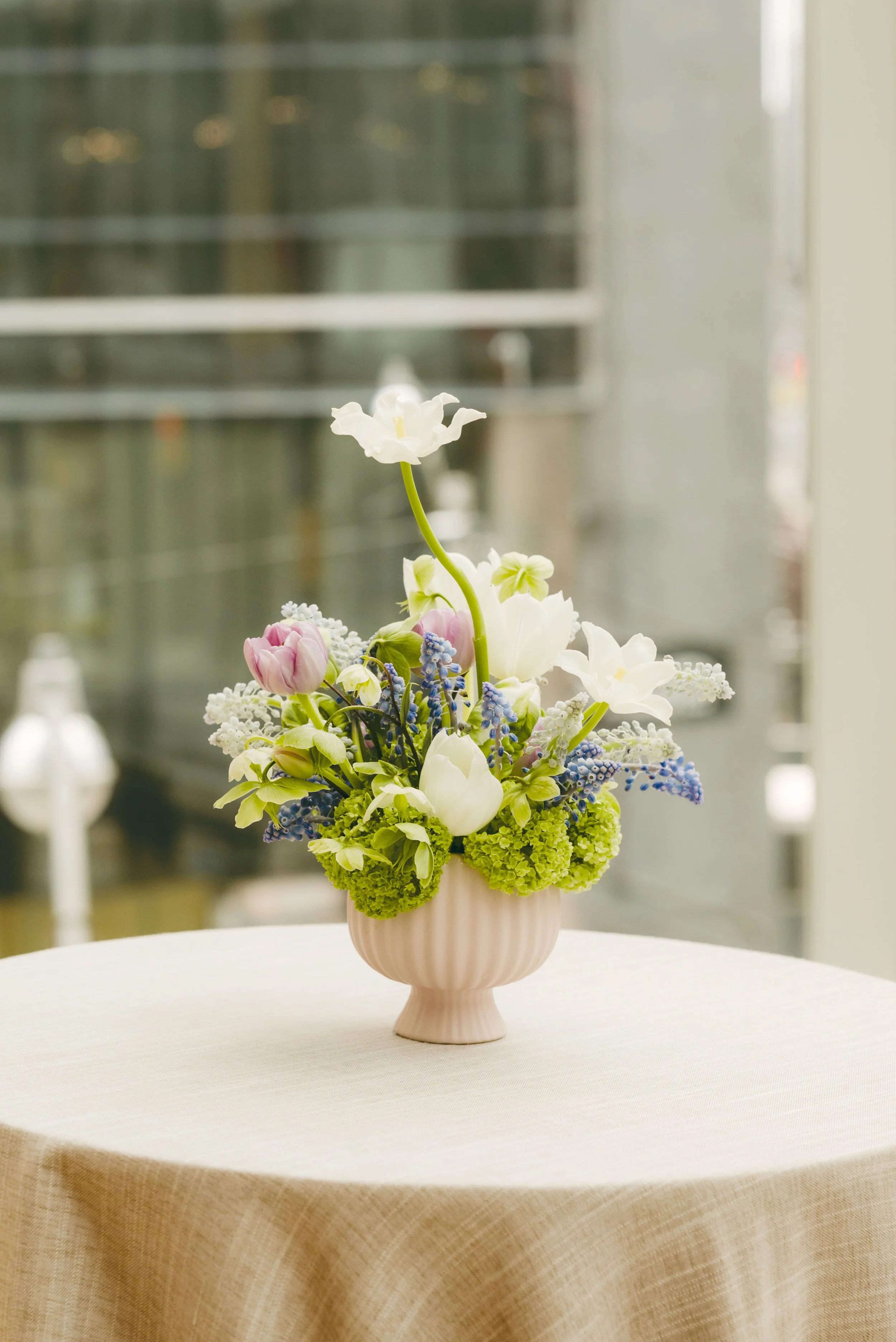 PT_Lexi_LAURA copy.jpg