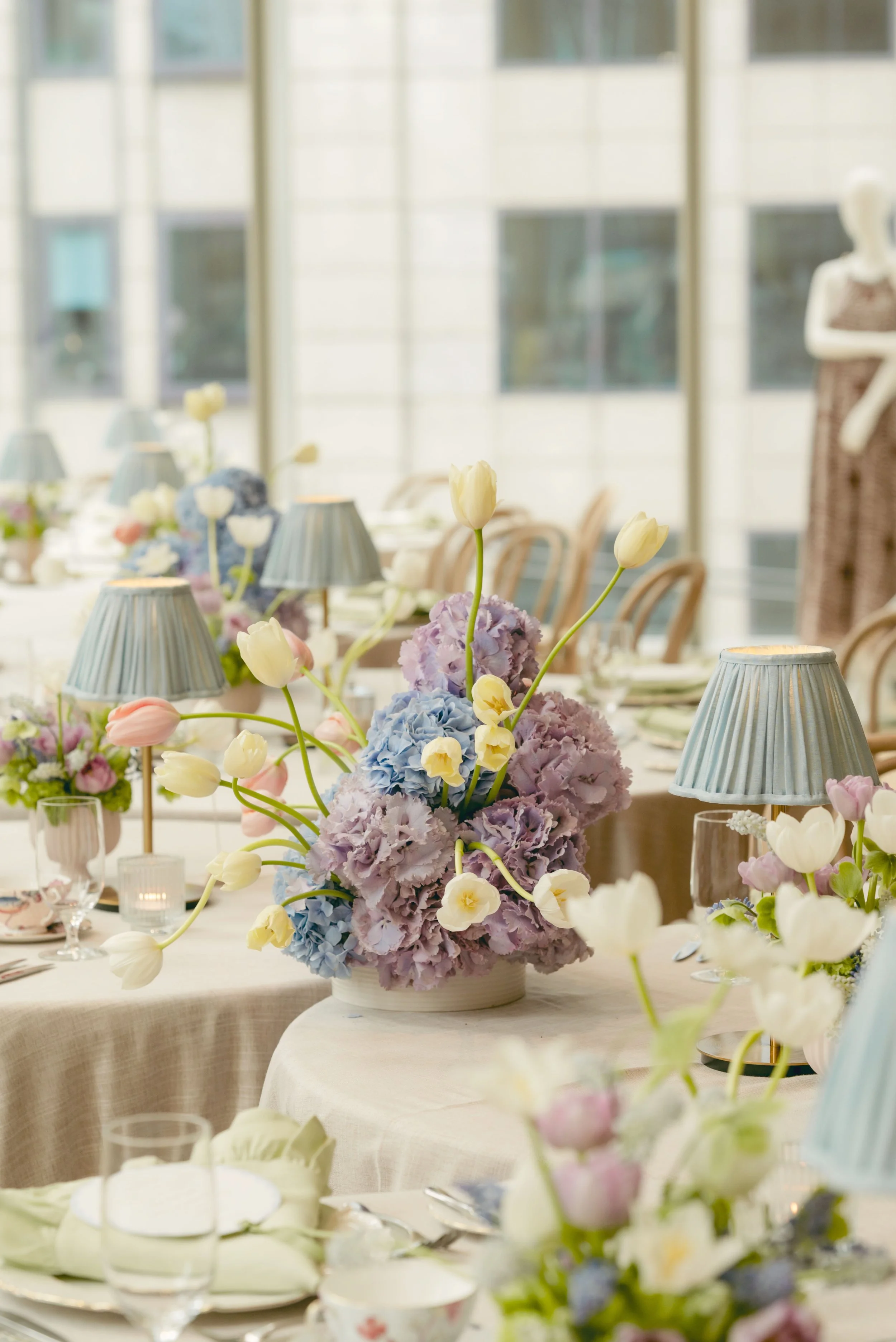 PT_Lexi_LAURA-2 copy.jpg