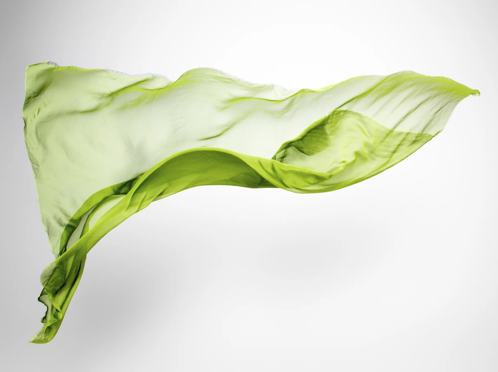 Silk - Handle with Care