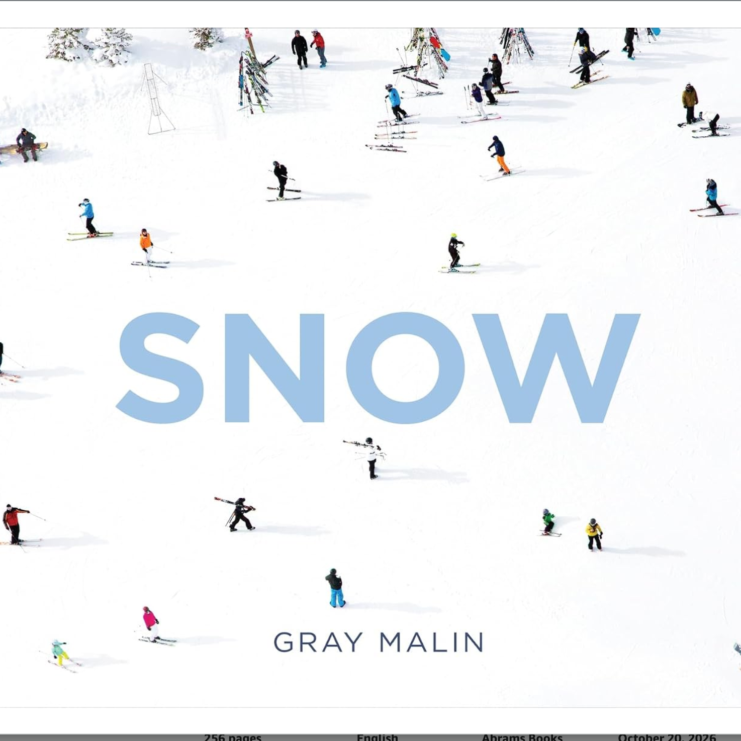 Gray Malin Snow.png