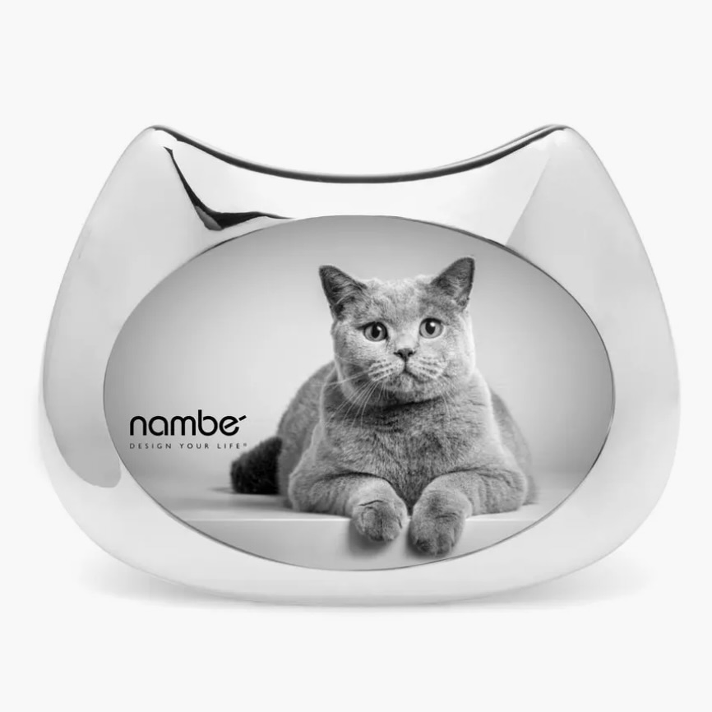 nambe cat frame.png