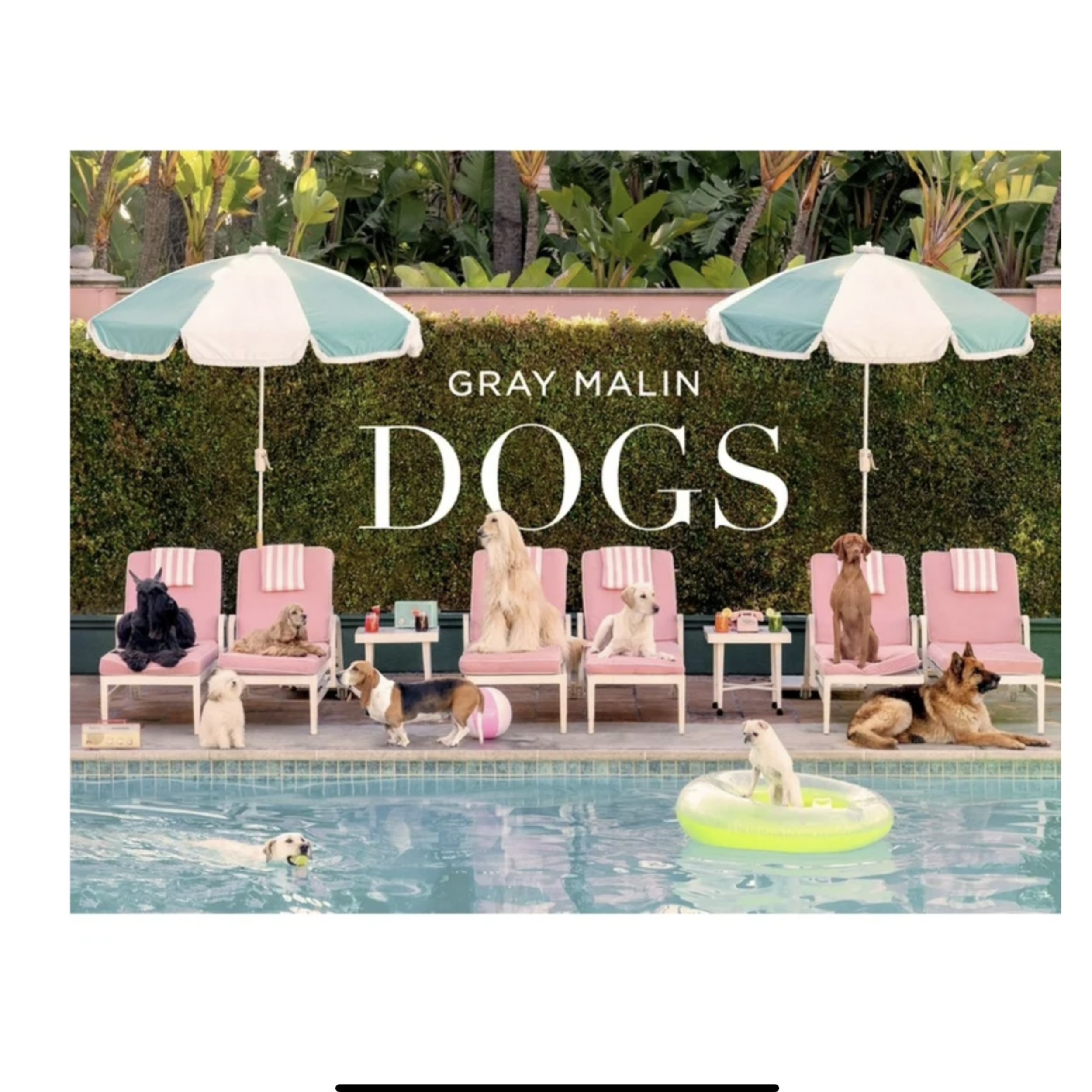 Gray Malin Dogs Book.png