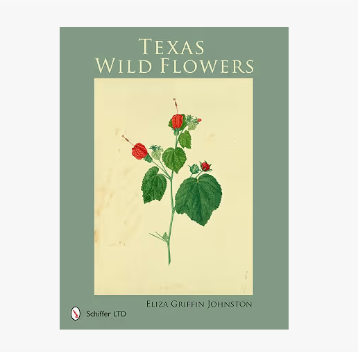 texas wildflowers.png