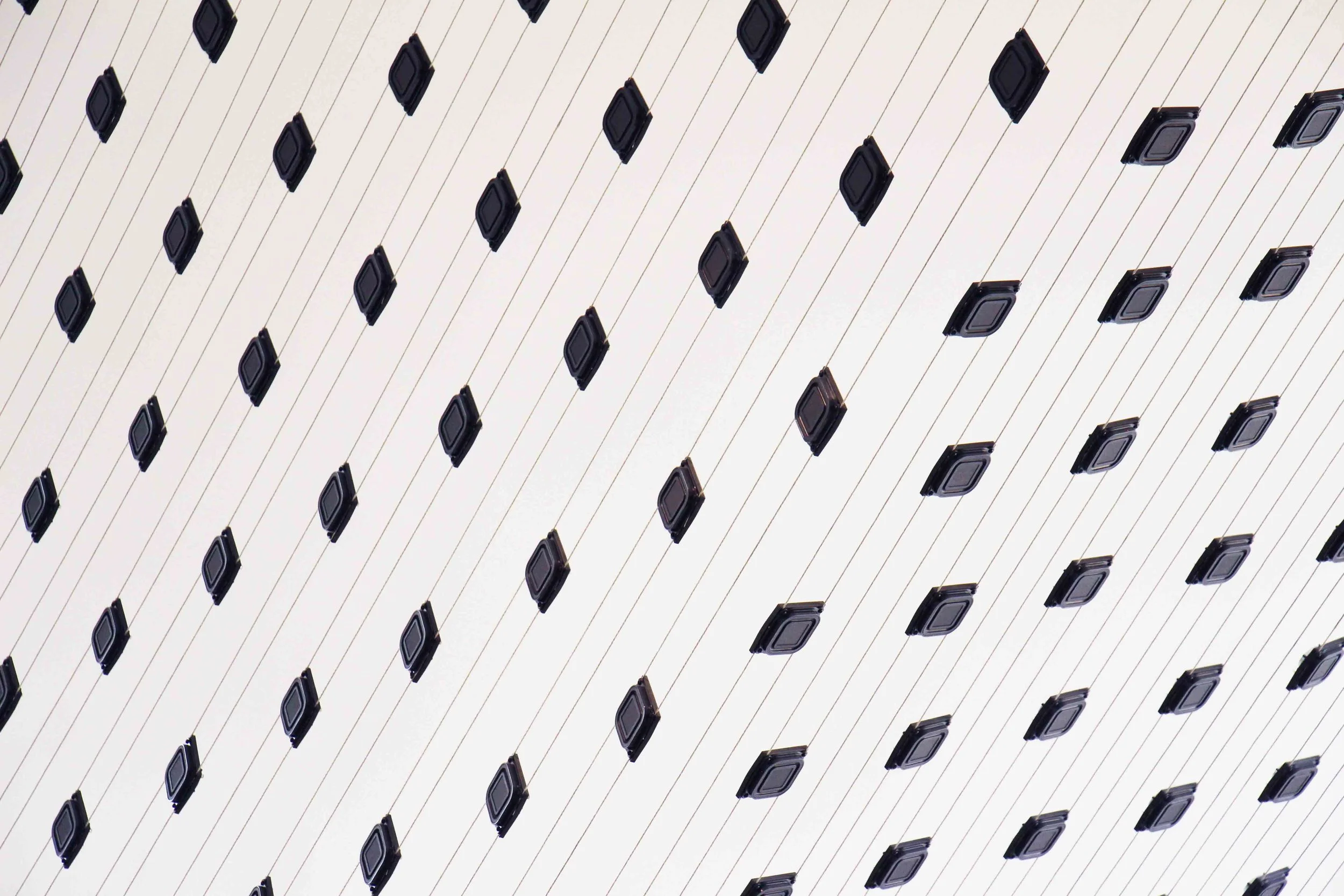 closeup_web.jpg