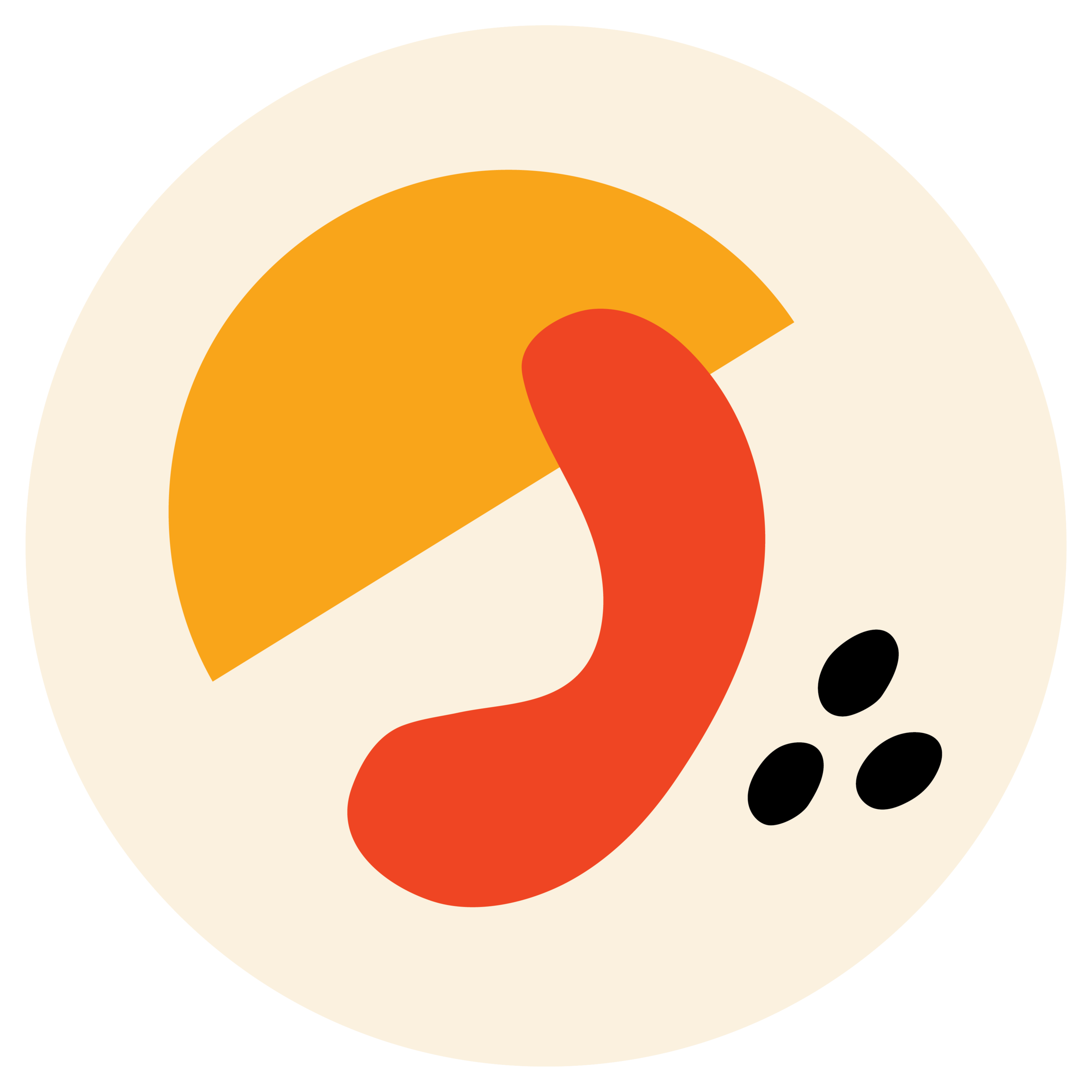 Reviews T K Photography