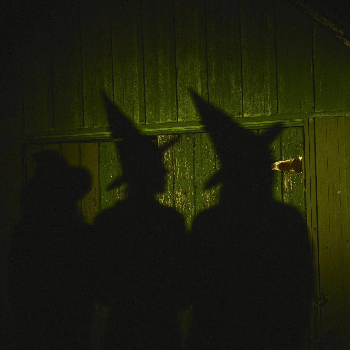 Double,&nbsp;double toil and trouble🔮fire burn and cauldron bubble.✨️🧙&zwj;♀️ I hope you had a spooktacular and safe Halloween!

www.willowlamoureux.com/contact
#willowthephotographer #witchcraft #wickedthemusical #wickedwitch #halloween2024 #ottaw
