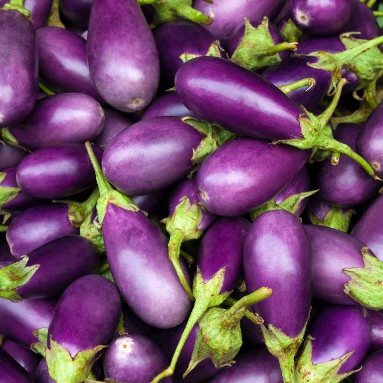 Eggplant[1].jpg