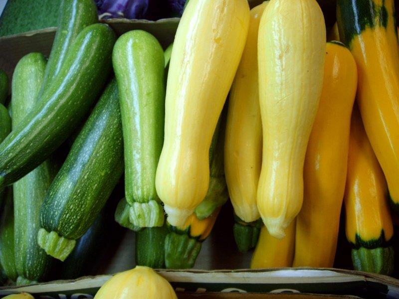 summer-squash[1].jpg