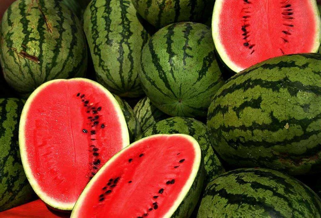 Watermelons[1].jpg