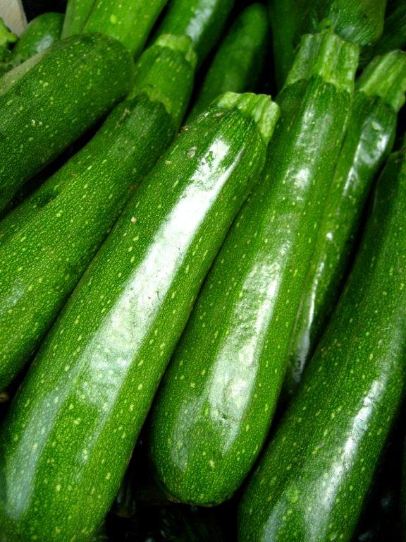 zucchini[1].jpg