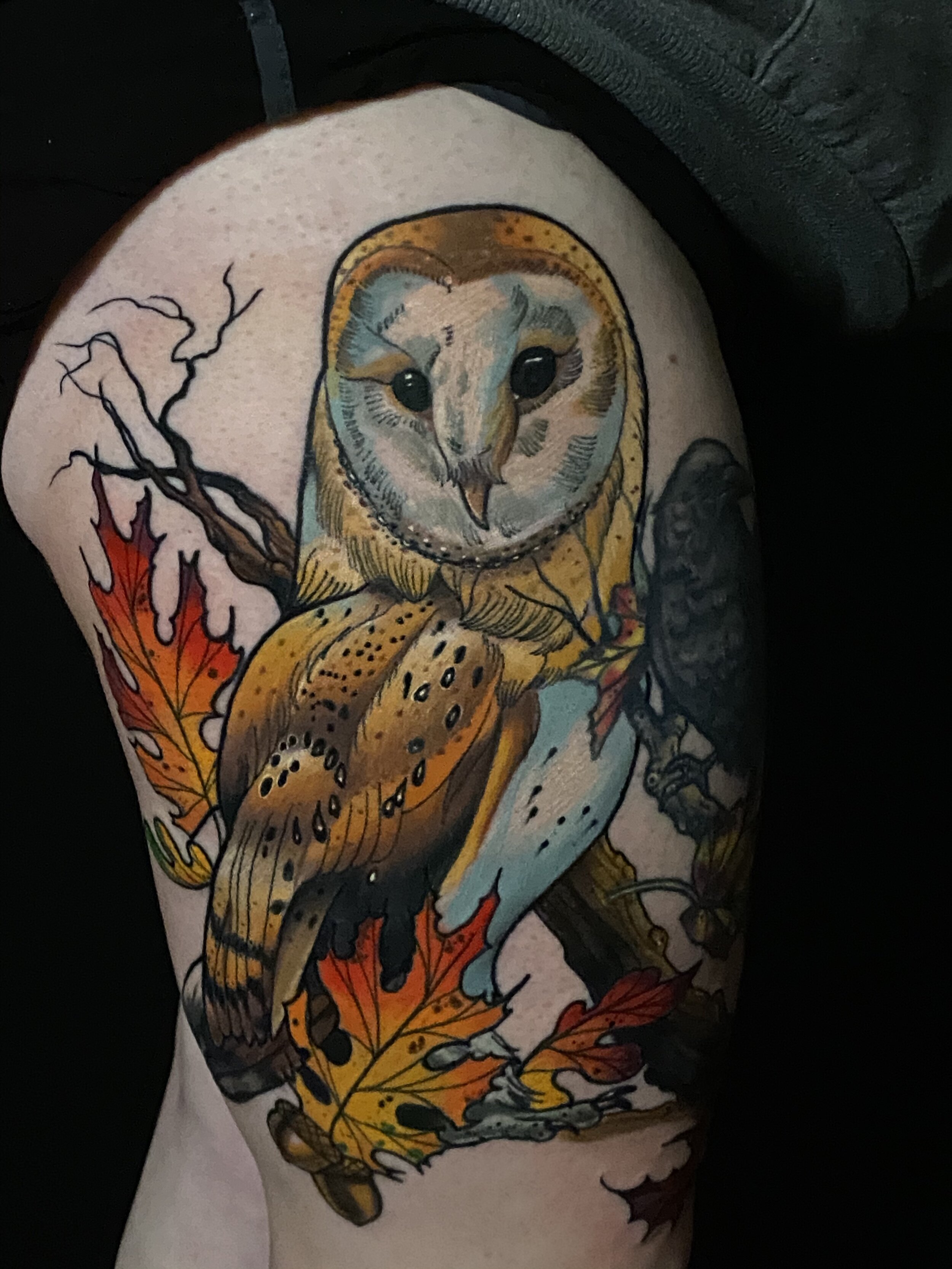 Barn Owl tattoo design I made  rTattooDesigns