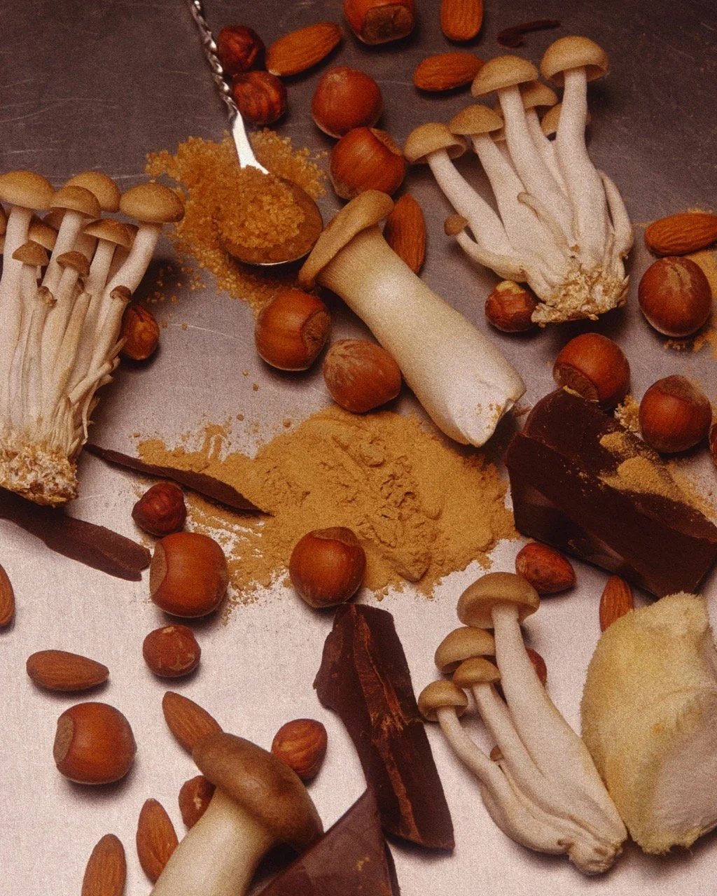 GhiaxAlice0247e2 Large.jpeg