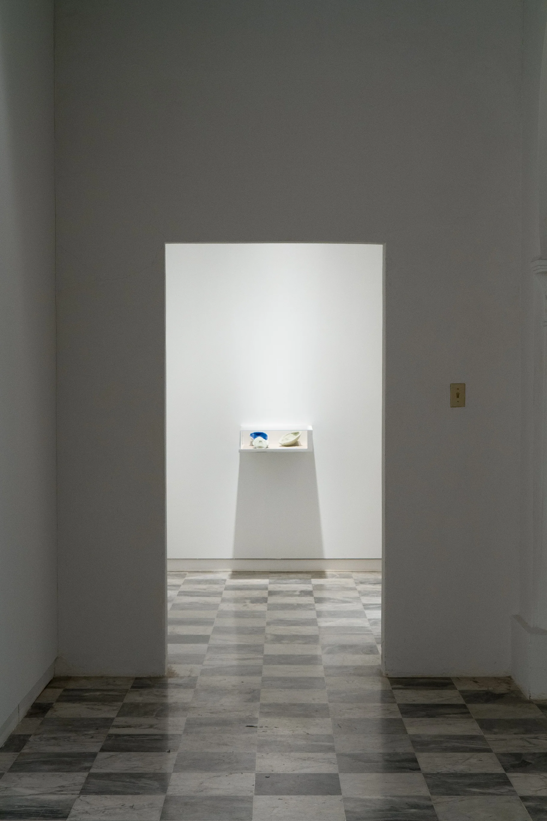 Meteoro_Gallardo039.jpg