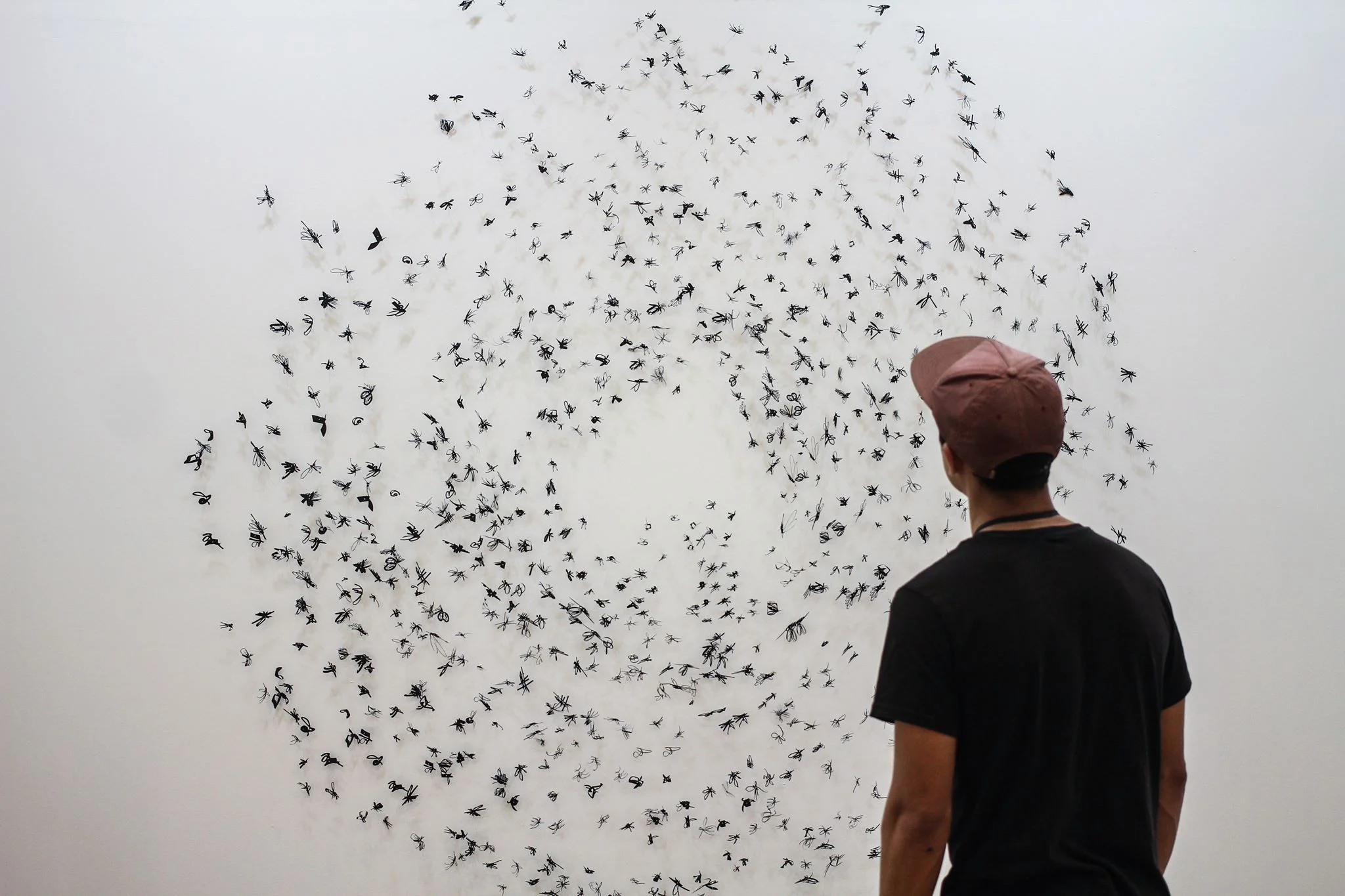 Murmuration