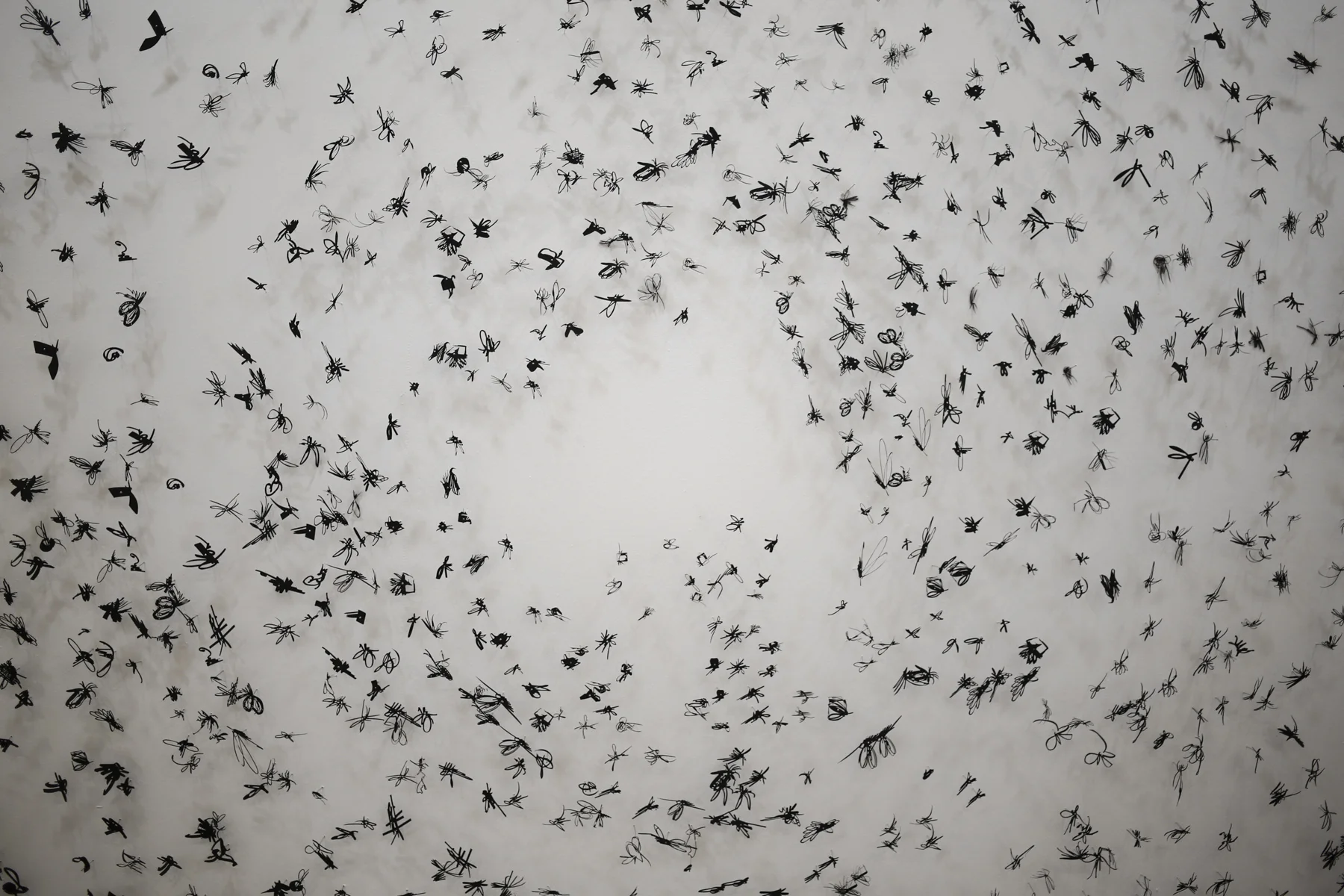 Murmuration