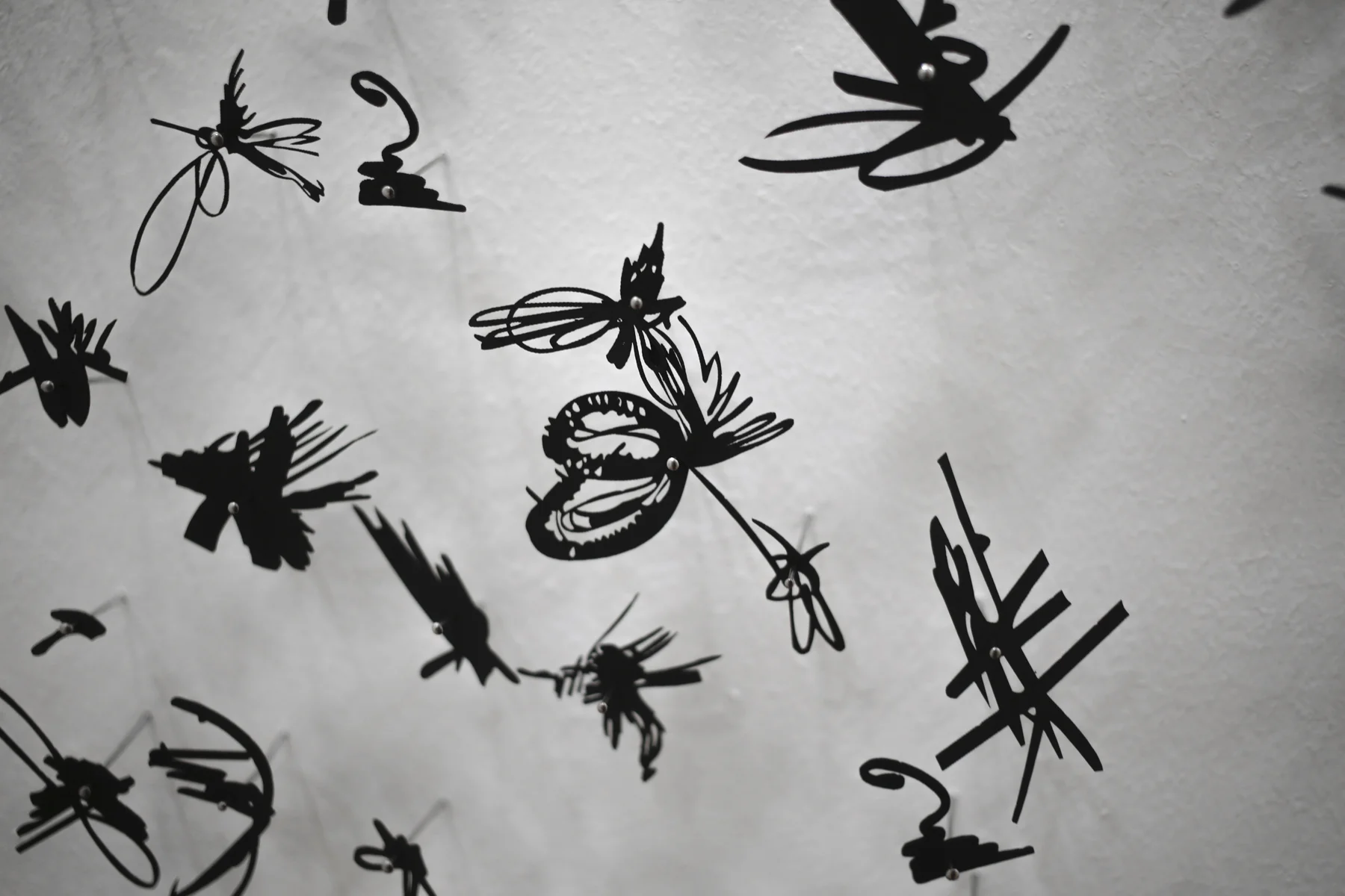 04_Frances_Gallardo_Murmuration.jpg.jpg