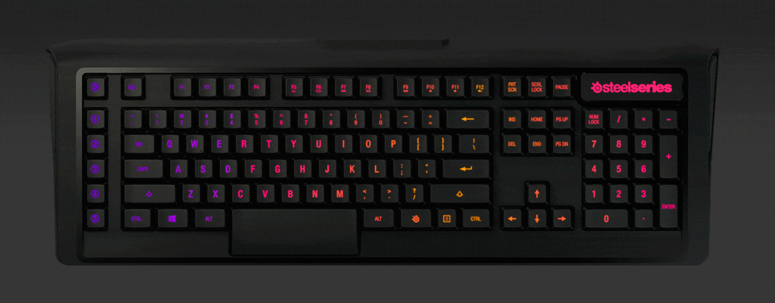 rainbow optimized.gif