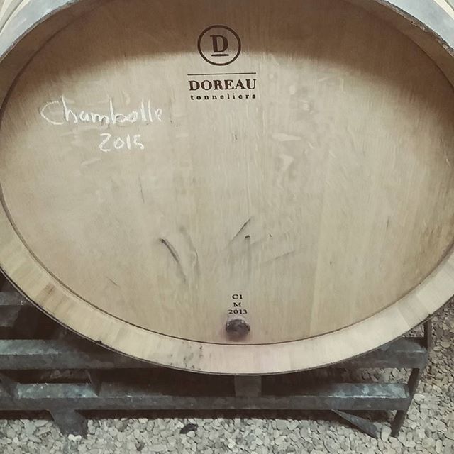 Great start to the never-ending route de vin of 2016 with Domaine Anne &amp; Sebastian Bidault in Morey Saint Denis. #barrelsample #chambolle #granfondowine