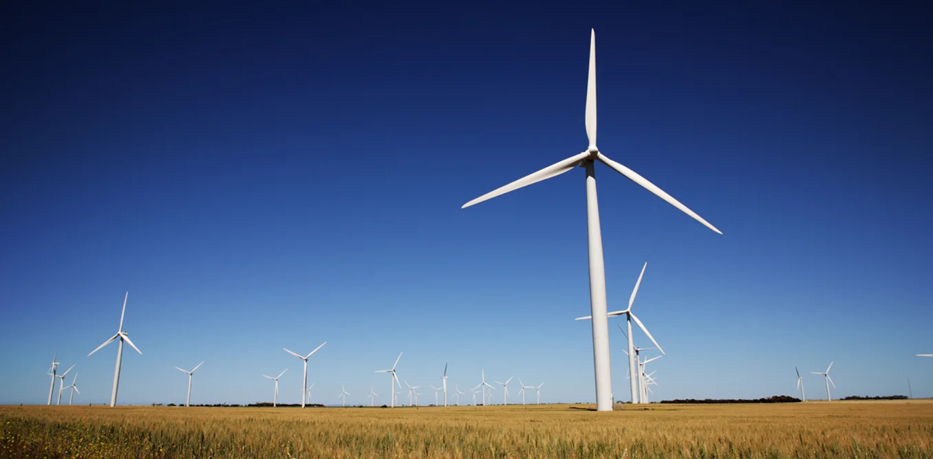 2015 Business Leadership Award winners