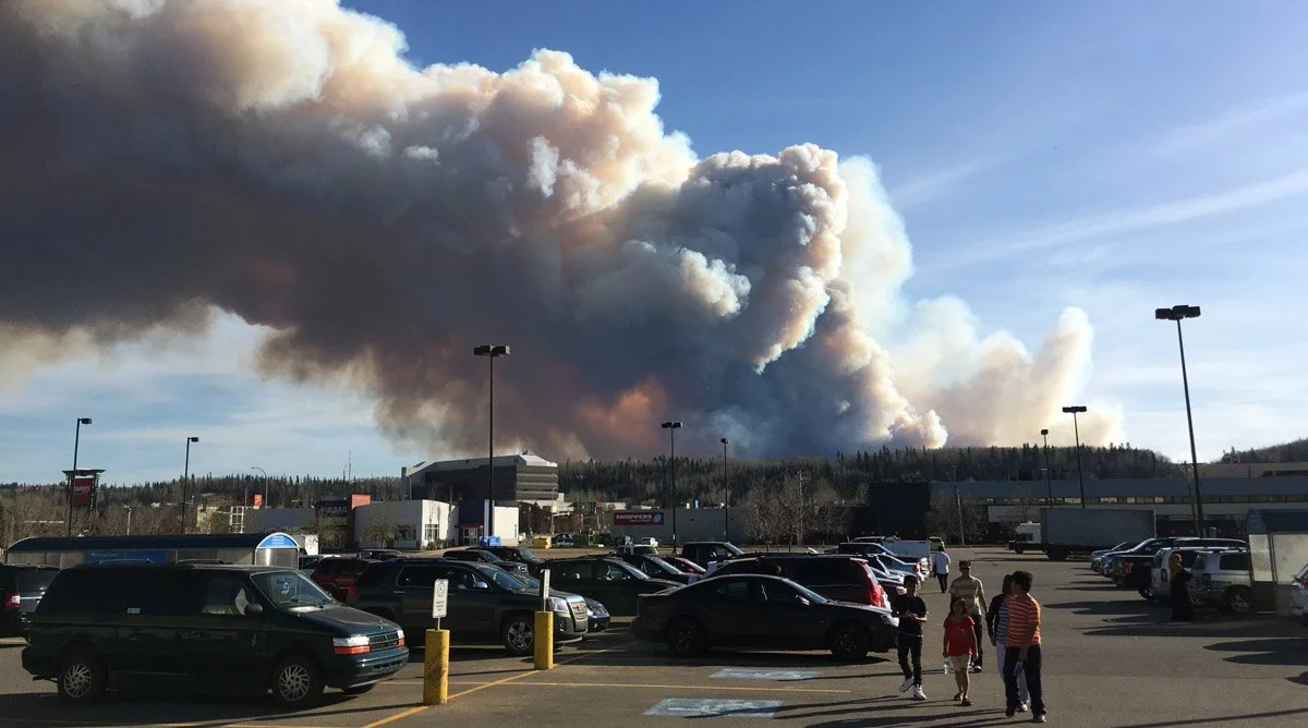 The other budget | The Monthly, Michael Lucy