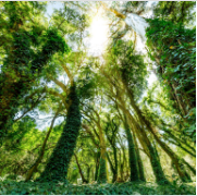 Sustaining sustainability: What institutional investors should do next on ESG | McKinsey & Company