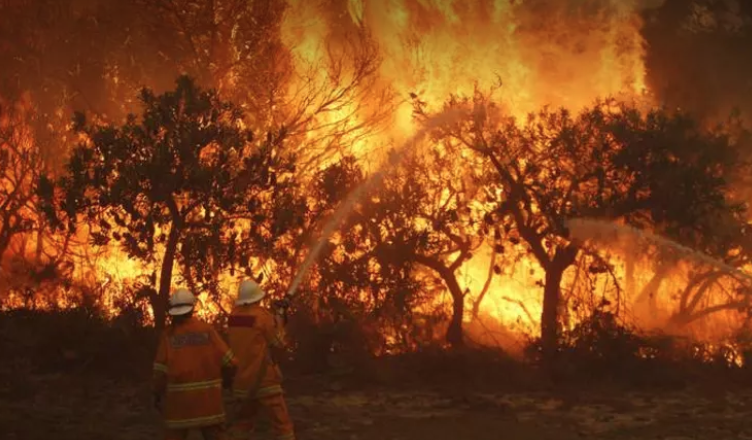 Australia one of the countries most exposed to climate change, bank warns | SMH