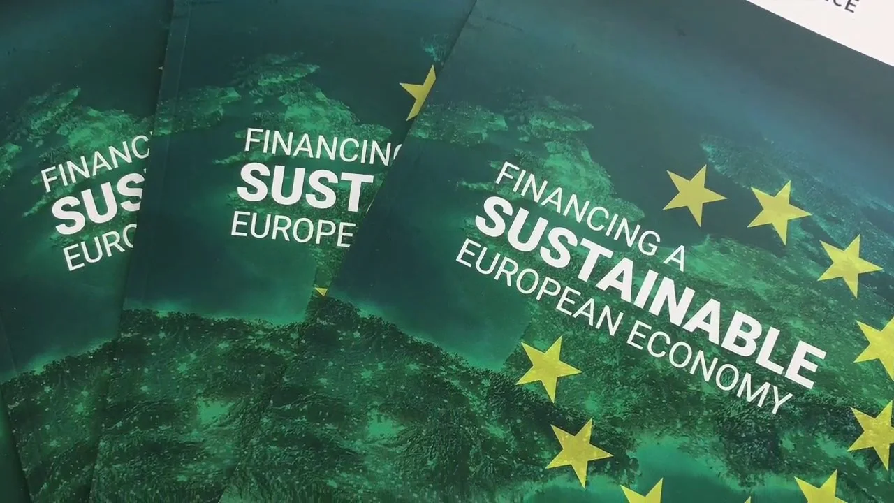 High Level Expert Group on Sustainable Finance - workshops and briefings