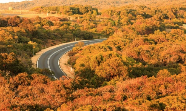 Great Ocean Road at risk from erosion and rising sea levels | The Guardian